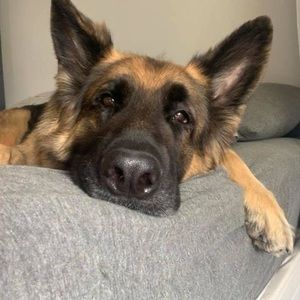 Meet your Posher, Chelsea